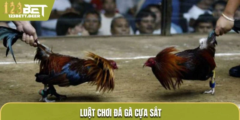 Luật chơi đá gà cựa sắt